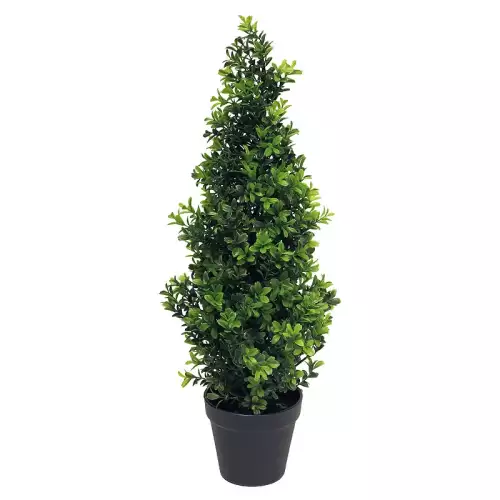 Buchsbaum Orion spitz zulaufend grün 15x15x60cm