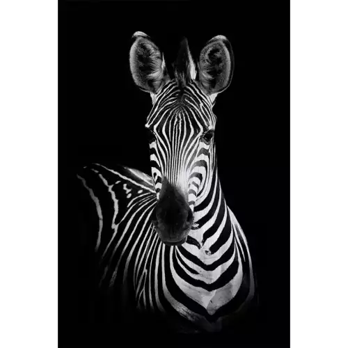 120x180x2cm Alubrush Zebra