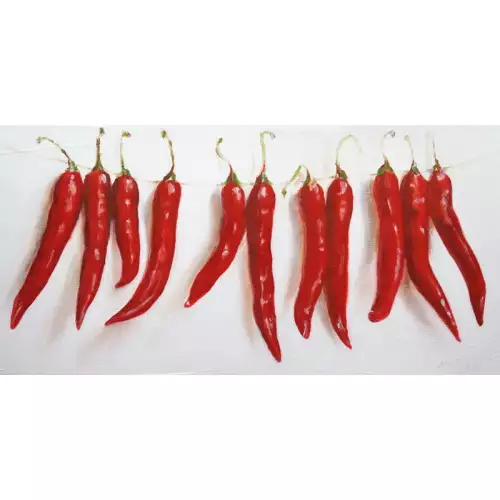 Paprika an einem Seil 80x160x2cm