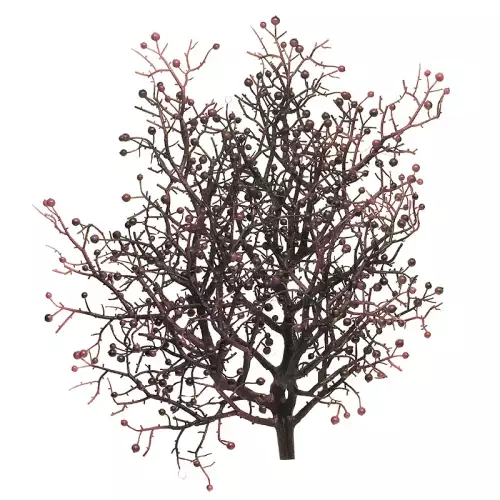 Pfefferbeere Busch lila 46cm