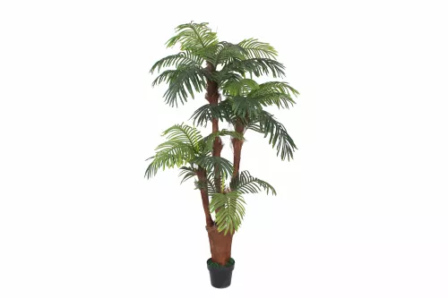 Palm 180cm